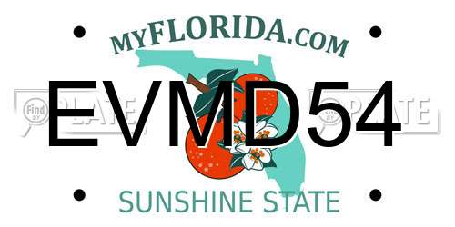 EVMD54 Florida License Plate