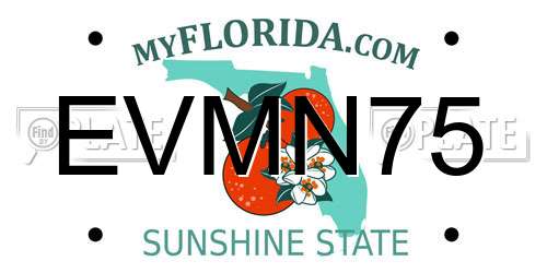EVMN75 Florida License Plate