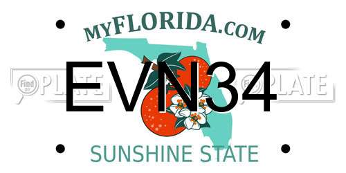 EVN34 Florida License Plate