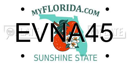 EVNA45 Florida License Plate