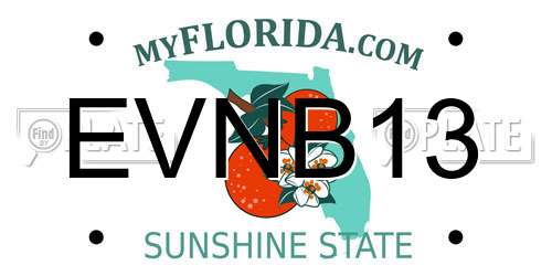 EVNB13 Florida License Plate