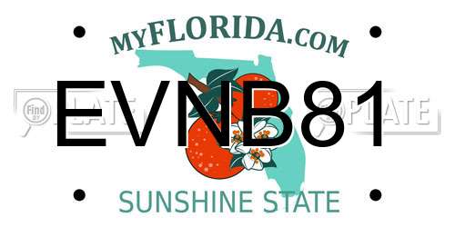 EVNB81 Florida License Plate