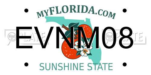 EVNM08 Florida License Plate