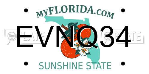 EVNQ34 Florida License Plate