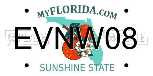 EVNW08 Florida License Plate