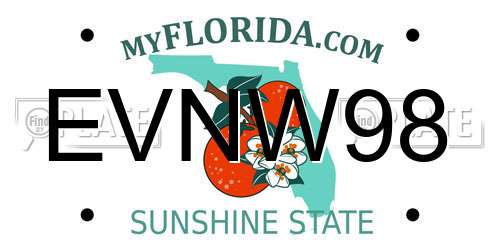 EVNW98 Florida License Plate