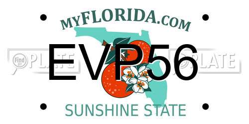 EVP56 Florida License Plate