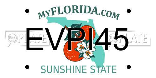 EVPI45 Florida License Plate