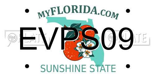 EVPS09 Florida License Plate