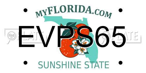 EVPS65 Florida License Plate