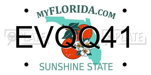 EVQQ41 Florida License Plate
