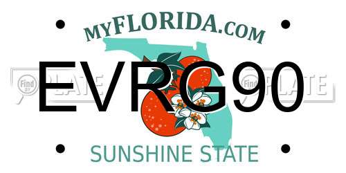 EVRG90 Florida License Plate