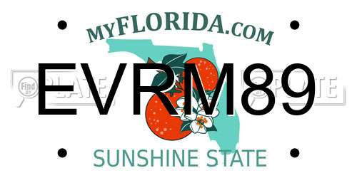 EVRM89 Florida License Plate