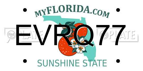 EVRQ77 Florida License Plate