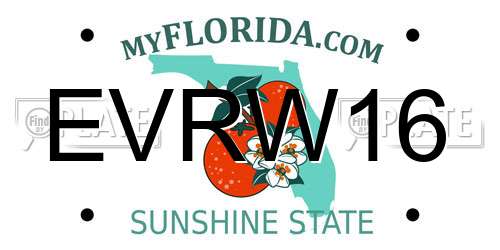 EVRW16 Florida License Plate