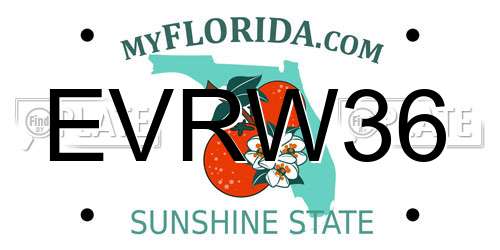 EVRW36 Florida License Plate