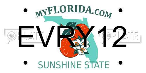 EVRY12 Florida License Plate