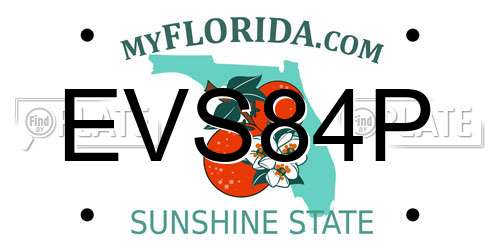 EVS84P Florida License Plate