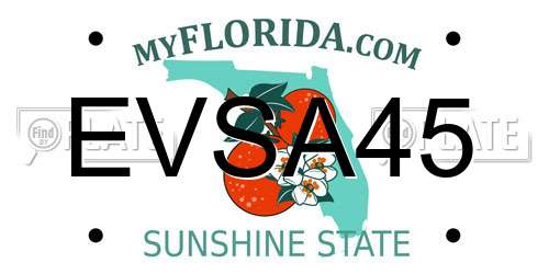 EVSA45 Florida License Plate