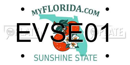EVSE01 Florida License Plate