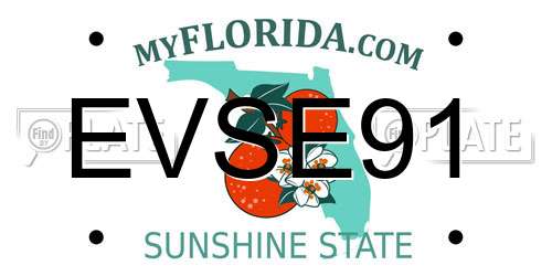 EVSE91 Florida License Plate