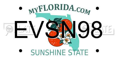 EVSN98 Florida License Plate