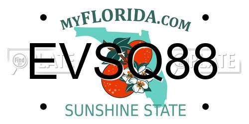 EVSQ88 Florida License Plate