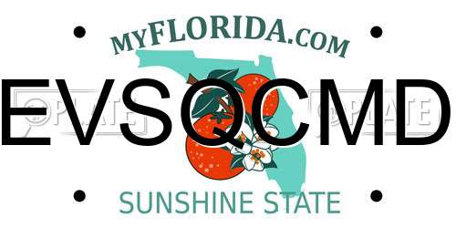 EVSQCMD Florida License Plate