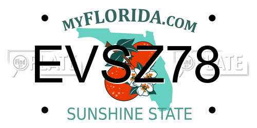 EVSZ78 Florida License Plate
