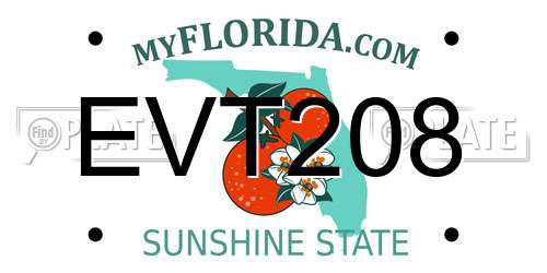 EVT208 Florida License Plate