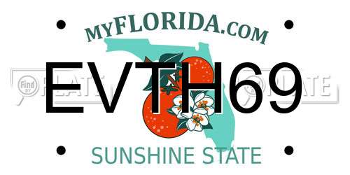 EVTH69 Florida License Plate