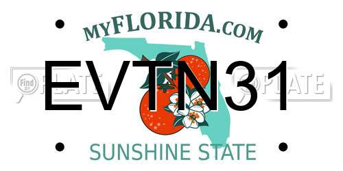 EVTN31 Florida License Plate