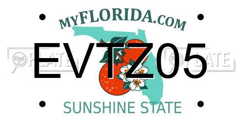 EVTZ05 Florida License Plate