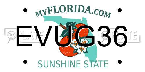EVUG36 Florida License Plate