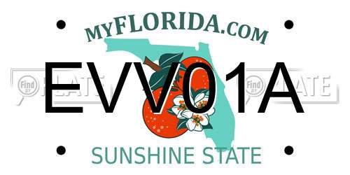 EVV01A Florida License Plate