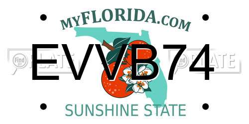 EVVB74 Florida License Plate