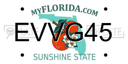 EVVG45 Florida License Plate
