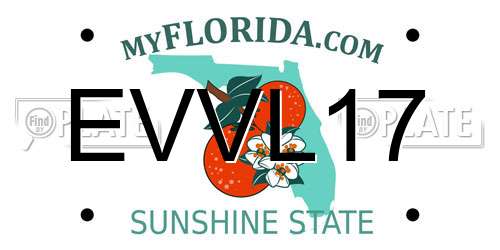 EVVL17 Florida License Plate