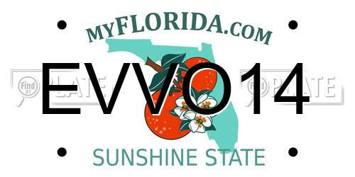 EVVO14 Florida License Plate