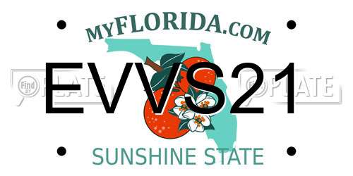 EVVS21 Florida License Plate