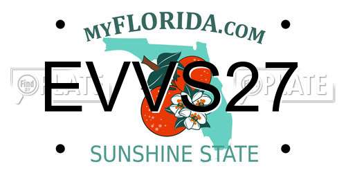 EVVS27 Florida License Plate