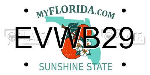 EVWB29 Florida License Plate