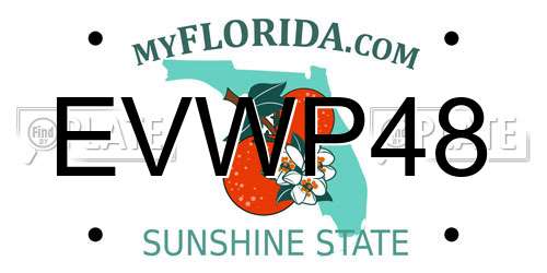 EVWP48 Florida License Plate