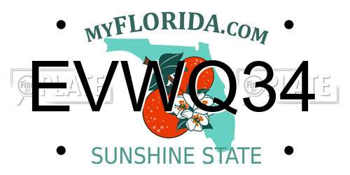 EVWQ34 Florida License Plate