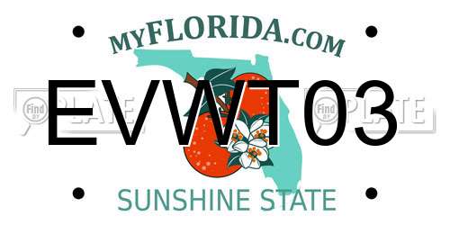 EVWT03 Florida License Plate