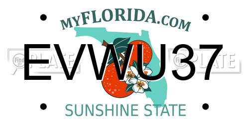 EVWU37 Florida License Plate