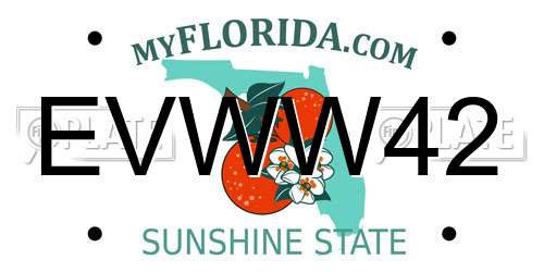 EVWW42 Florida License Plate