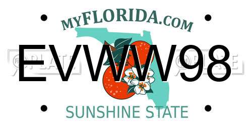 EVWW98 Florida License Plate