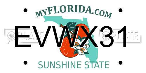 EVWX31 Florida License Plate