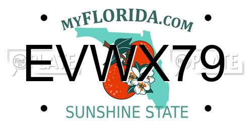 EVWX79 Florida License Plate